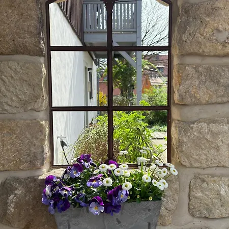 Apartamento Landgut Mosch Radeburg Exterior foto